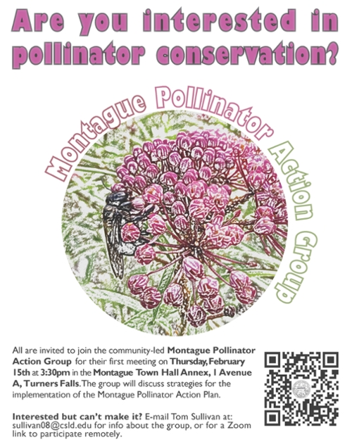 Montague Pollinator Action Group